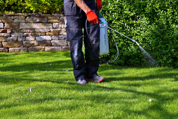 Best Outdoor Pest Control  in Wading River, NY